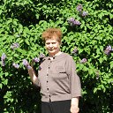 ���� �������, ������, 75 ��� - ��������� 21 ���� 2017 � ������ ���� ����������