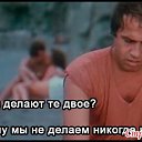 ���� ��������, �����-��������� - ��������� 8 �������� 2017 � ������ ������ ��������