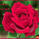 ���� ������, ������, 71 ��� - ��������� 24 ������� 2017 � ������ ���� ����������