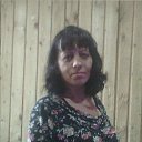 ���� ��������, ����� - ��������� 24 ������� 2017 � ������ ���� ����������