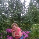 ���� �������, ����, 56 ��� - ��������� 4 ������� 2017 � ������ ���� ����������