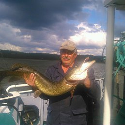 Oleg, ����������, 63 ����