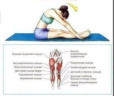 Отличный комплекс для тех, кто хочет сесть на шпагат - 3