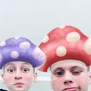 ���� ��, ��������, 26 ��� - ��������� 3 ������� 2017 � ������ ���� ����������