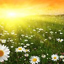 ���� 💝���@💝, ��������� - ��������� 20 ������� 2017 � ������ ���� ����������