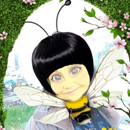 �����, ������, 51 ���