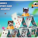 ���� ������, ������ �������� - ��������� 2 ������� 2017 � ������ �������� �������-�������
