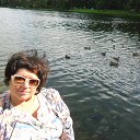 ���� ������, �����-���������, 52 ���� - ��������� 2 �������� 2017 � ������ ���� ����������