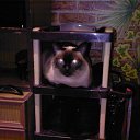 ���� Yuriy, ������, 63 ���� - ��������� 14 ������� 2017 � ������ ���� ����������