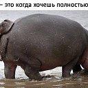  Svetlana, -, 45  -  23  2017    