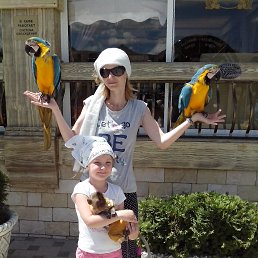 ������, ������-��-����, 42 ����