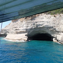 ���� ������, �������-���������, 49 ��� - ��������� 28 ������� 2017