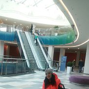 , 32 , 