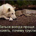 ���� // I., ����� - ��������� 18 ��� 2017 � ������ ���� ����������