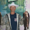 ���� ��������, �����������, 52 ���� - ��������� 20 ���� 2017