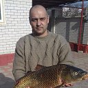 ���� ������, ������, 51 ��� - ��������� 1 ������� 2017 � ������ ���� ����������