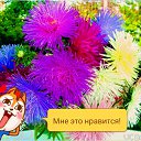 ���� ������, ������-��-����, 65 ��� - ��������� 22 ��� 2017 � ������ ���� ����������