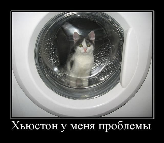 ��� ���� - 26 �������� 2017 � 15:35