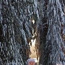 ���� �������, �����������, 41 ��� - ��������� 16 ������ 2017