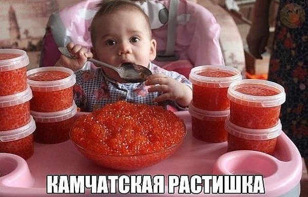 ß ÑÅÃÎÄÍß ÃÎÂÎÐÞ ÄÎ×ÅÐÈ: -?