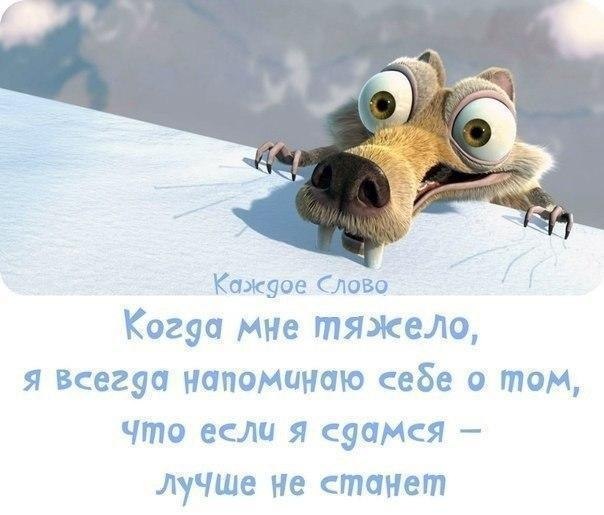 ...�������...��...���������