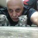 ���� �����, ������, 58 ��� - ��������� 17 ������� 2017