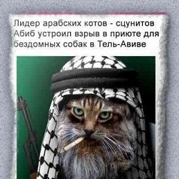 Plohis, ������������, 47 ���