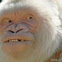 ���� ����� � ������� ���, ��... ��. ������...