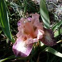 ���� �������, ������, 58 ��� - ��������� 3 ���� 2017 � ������ ���������� �����