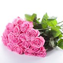 ���� �������, ������� - ��������� 4 ������ 2017 � ������ ���� ����������