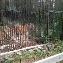 ���� �����, ���������, 46 ��� - ��������� 8 ������ 2017 � ������ ���� ����������