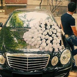 ����, �������, 28 ���