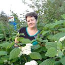 ���� ����, ����, 61 ��� - ��������� 19 ������� 2017