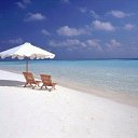 ���� ���, ���������, 51 ��� - ��������� 17 ������ 2017 � ������ ���� ����������