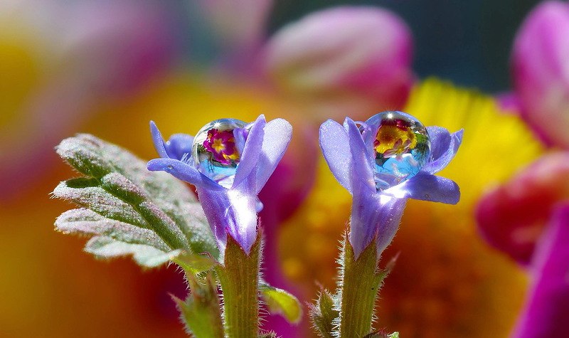  ! - 26  2017  10:34 - 4