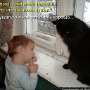  , -, 62  -  29  2017    