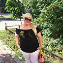 ���� ������, �������, 49 ��� - ��������� 23 ���� 2017 � ������ ���� ����������