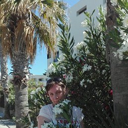 ���� �����, ������, 54 ���� - ��������� 25 ��� 2017