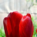 ���� Oleg, ���������, 60 ��� - ��������� 24 ������� 2017 � ������ ���� ����������