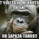 ���� ��������, ������, 61 ��� - ��������� 7 ���� 2017