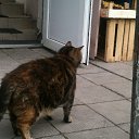 ���� ����, ���������, 46 ��� - ��������� 17 �������� 2017 � ������ ���� ����������