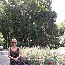 ���� �����, ������, 58 ��� - ��������� 23 ���� 2017 � ������ ���� ����������