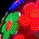 ���� ������, ������, 38 ��� - ��������� 9 ������� 2017 � ������ ���� ����������
