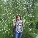 ���� ������, ����� - ��������� 20 ������� 2017 � ������ �� � ��� ���