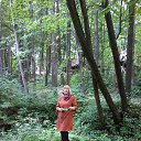 ���� �����, ������ �������� - ��������� 2 ������� 2017