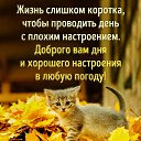 ���� ������� � ������� ���, ����� - ��������� 1 ������� 2017 � ������ ������ ��������