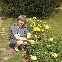 ���� ����, ������, 53 ���� - ��������� 30 ���� 2017 � ������ ���������� ������