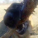 ���� ������, ����-��������� - ��������� 3 ������� 2017 � ������ ���� ����������