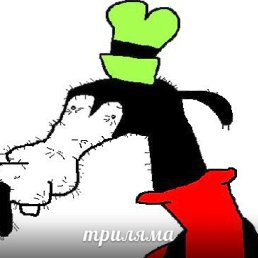 ������, �����-���������, 33 ����