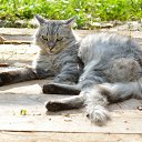 ���� ����������, ������� ��������, 63 ���� - ��������� 27 ������� 2017 � ������ ���������� �������� ���������